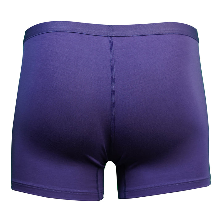 SHEATH Women's Bamboo Boxer Brief - Plum