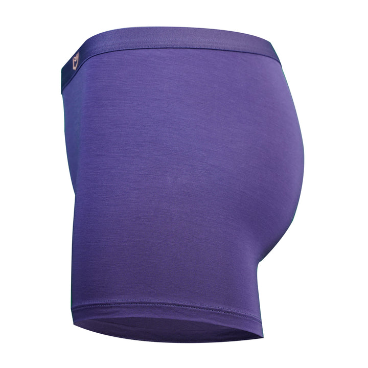 SHEATH Women's Bamboo Boxer Brief - Plum