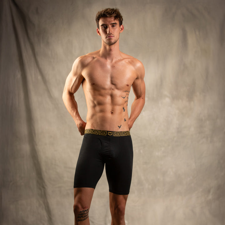 SHEATH V Sports Performance Dual Pouch Boxer Brief - Black & Gold