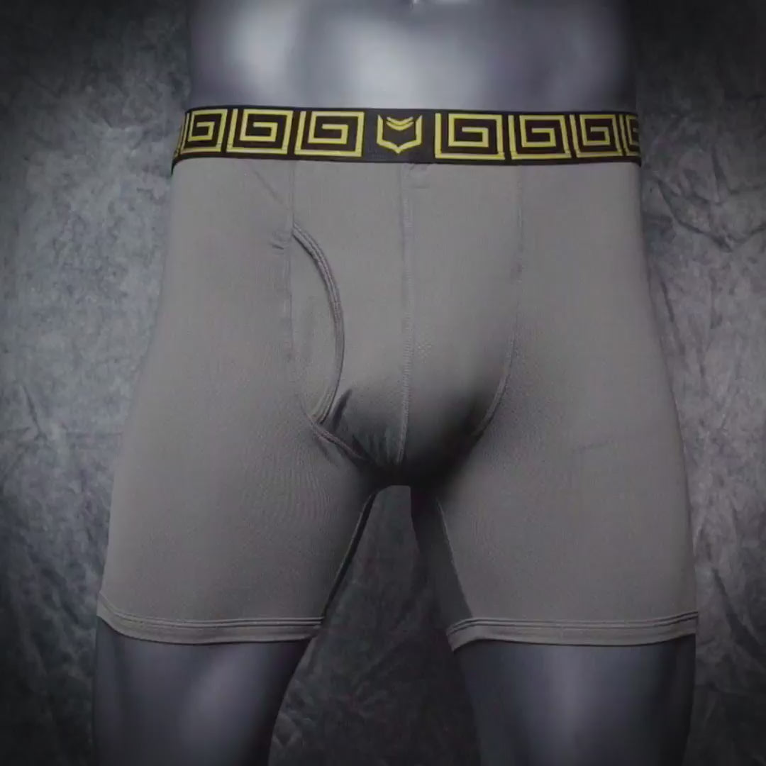 SHEATH 4.0 AirFlow Mesh Dual Pouch Boxer Brief - Gray & Gold