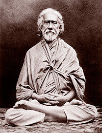 articles/SriYukteswarw-sitting.jpg