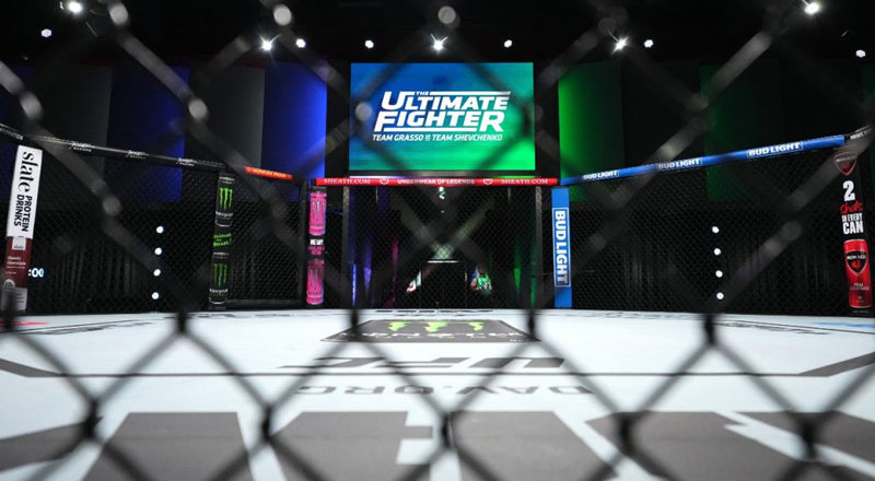 articles/sheath_ultimate_fighter01.jpg
