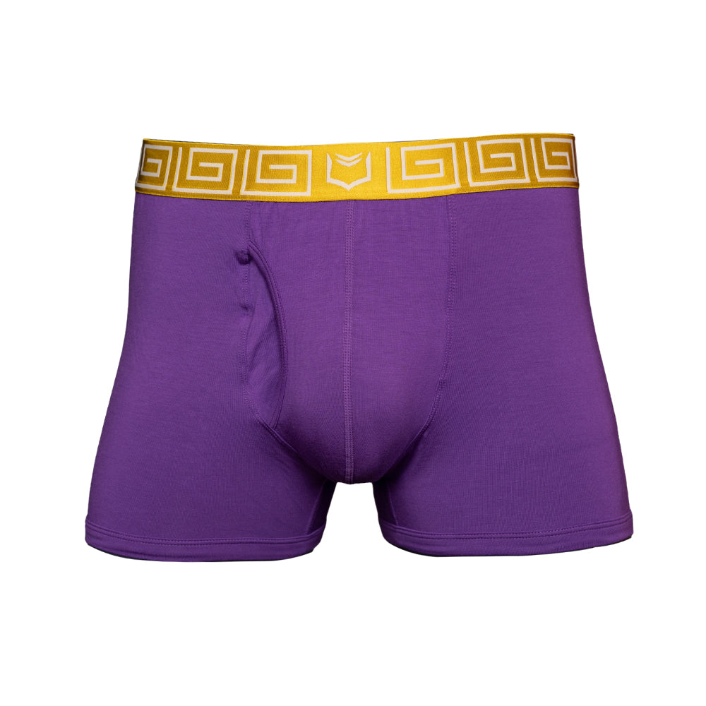 SHEATH purple &amp; gold men&