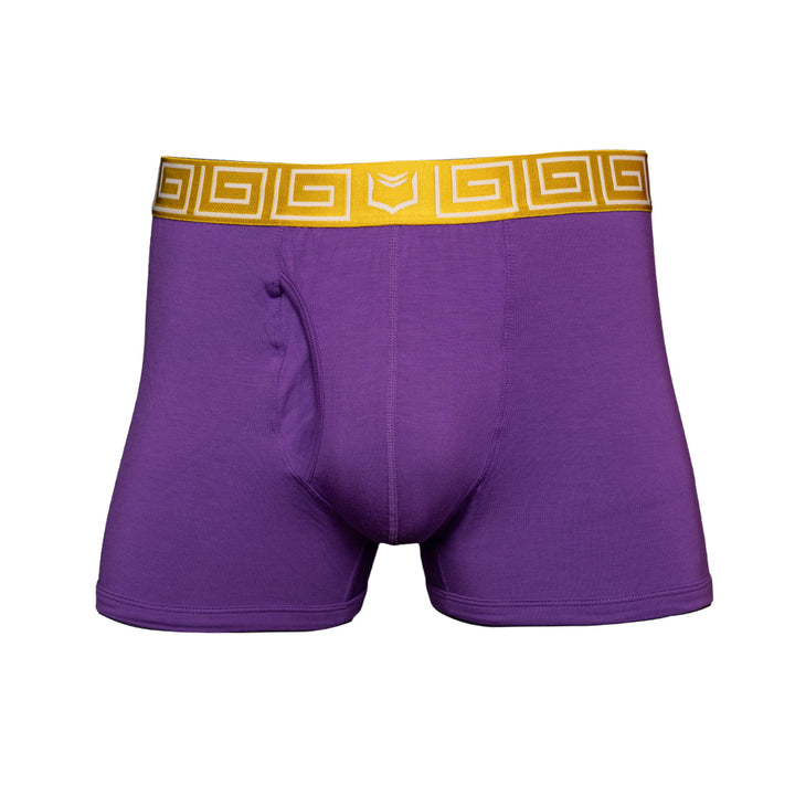 SHEATH purple &amp; gold men&