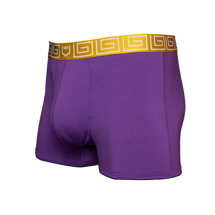 SHEATH purple &amp; gold men&