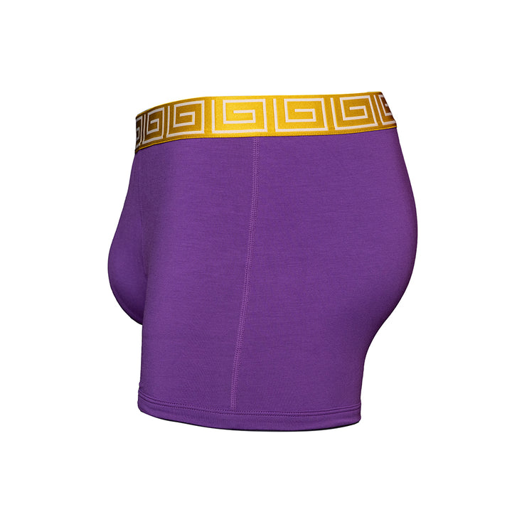 SHEATH purple &amp; gold men&
