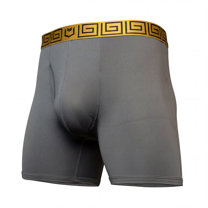 SHEATH AirFlow Gray mesh boxer briefs with a gold waistband on a white background