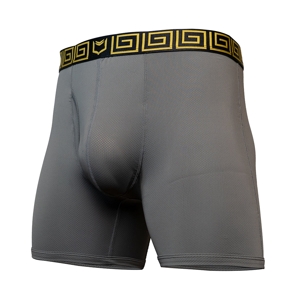 SHEATH 4.0 AirFlow Mesh Dual Pouch Boxer Brief - Gray & Gold