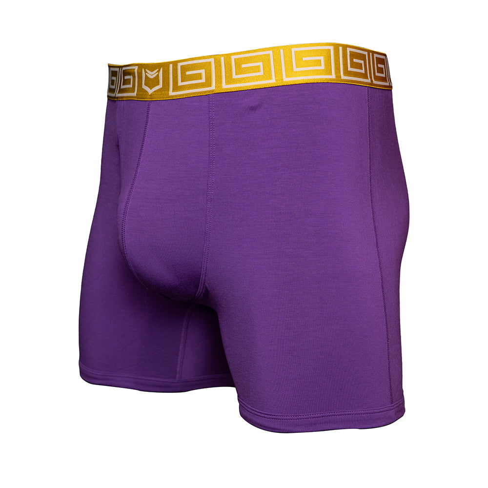 SHEATH purple &amp; gold men&