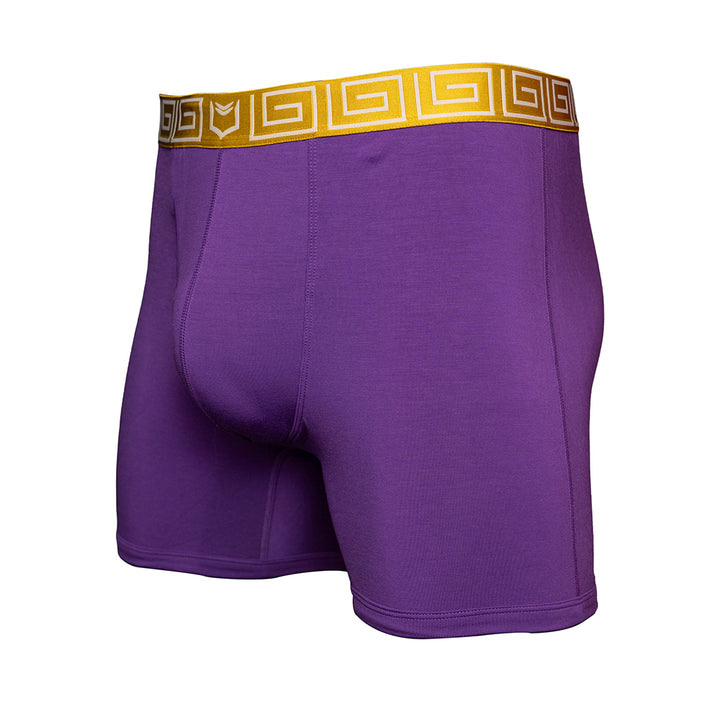 SHEATH purple &amp; gold men&