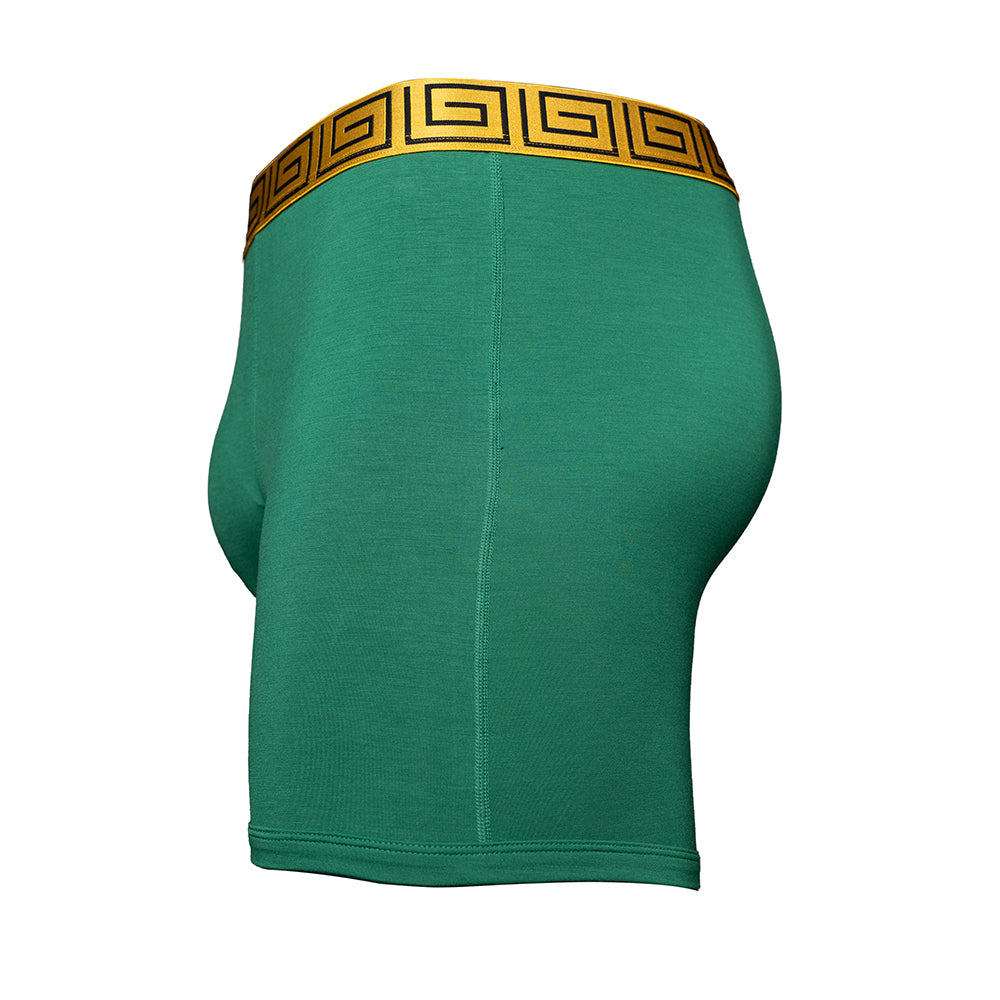 SHEATH 4.0 Dual Pouch Boxer Brief - Green & Gold