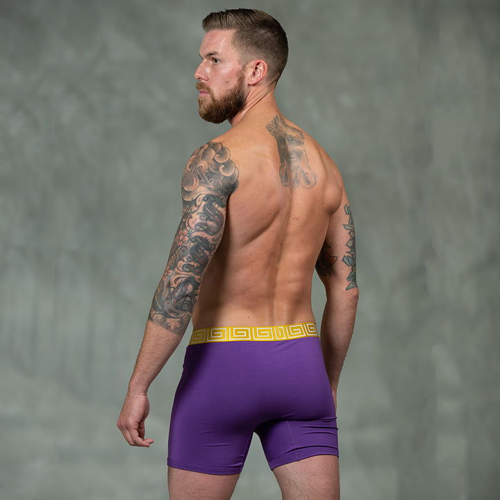 Backside of male model wearing SHEATH purple &amp; gold men&