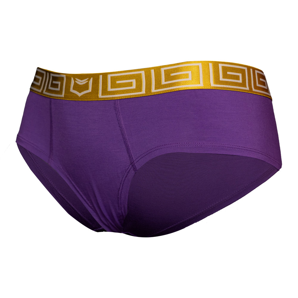 files/BOYSHORT_LEFT_ANGLE_PURPLE-GOLD.jpg