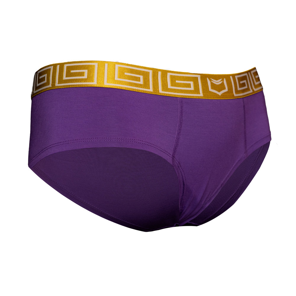 SHEATH purple &amp; gold women&