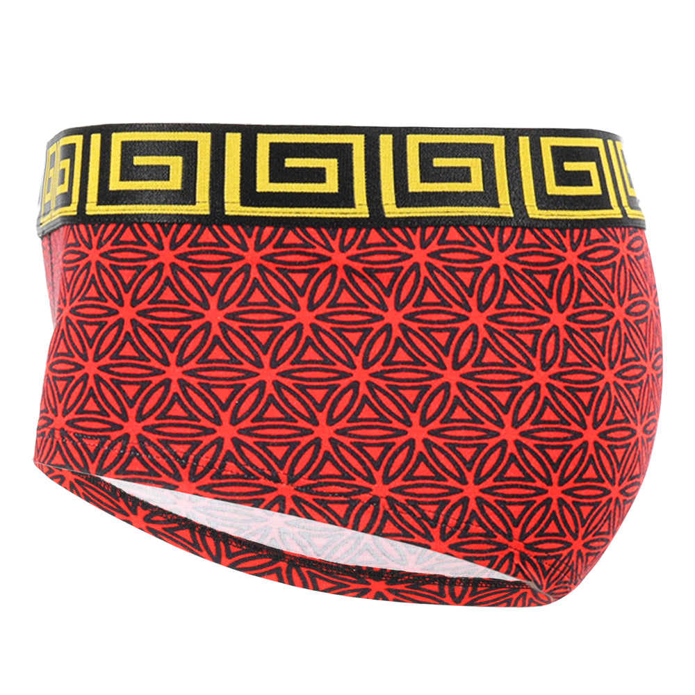 SHEATH Cheeky Boyshorts - Red Flower of Life