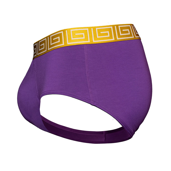 SHEATH purple &amp; gold men&