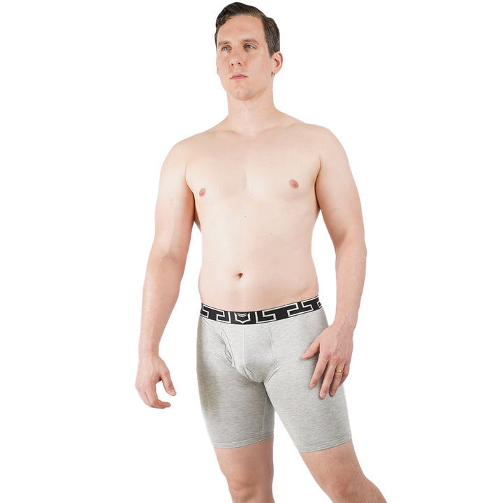 SHEATH V Bamboo Titan Dual Pouch Boxer Brief - Heather Gray