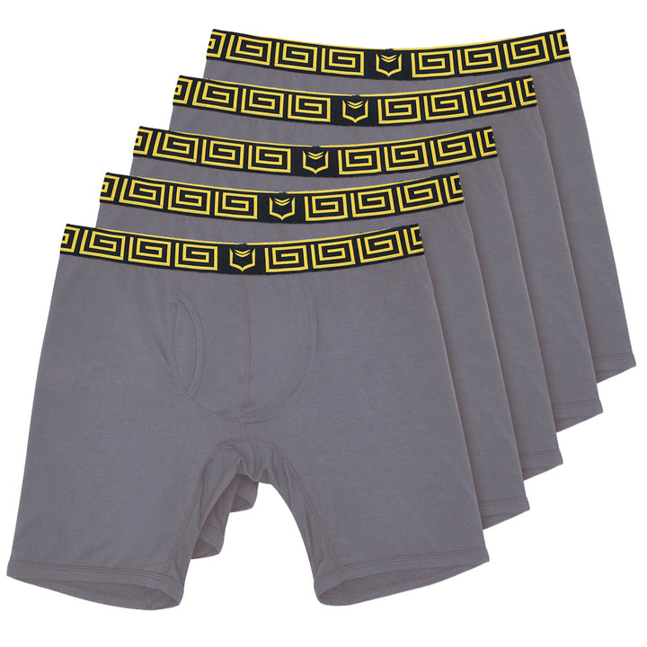 Set of 5 SHEATH V gray boxer briefs with gold waistbands on white background#color_gray-gold