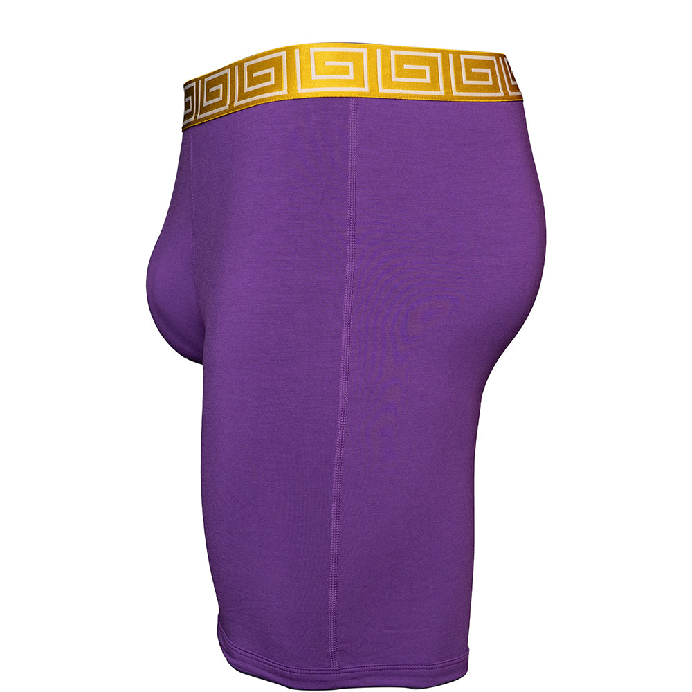 SHEATH purple &amp; gold men&