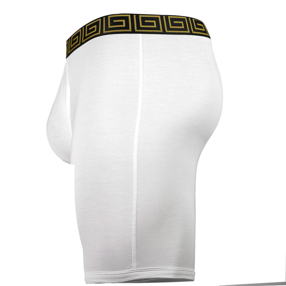 SHEATH V Sports Performance Dual Pouch Boxer Brief - White & Gold