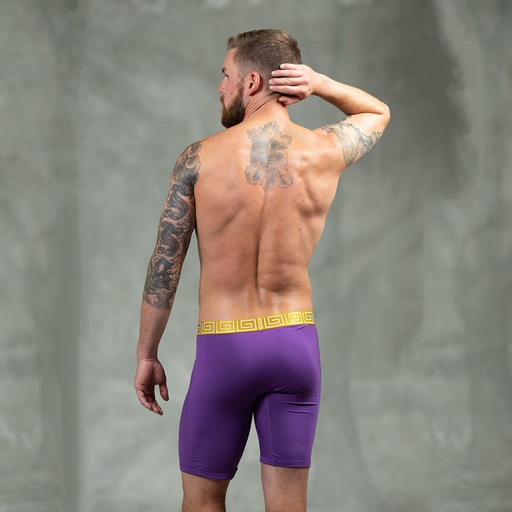 Backside of male model wearing SHEATH purple &amp; gold men&