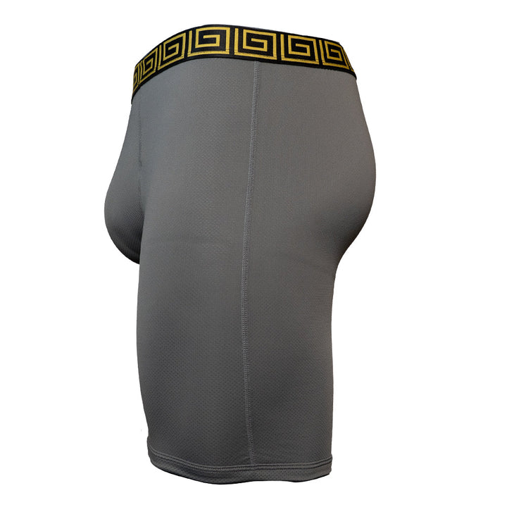 SHEATH V AirFlow Boxer Brief - Gray & Gold