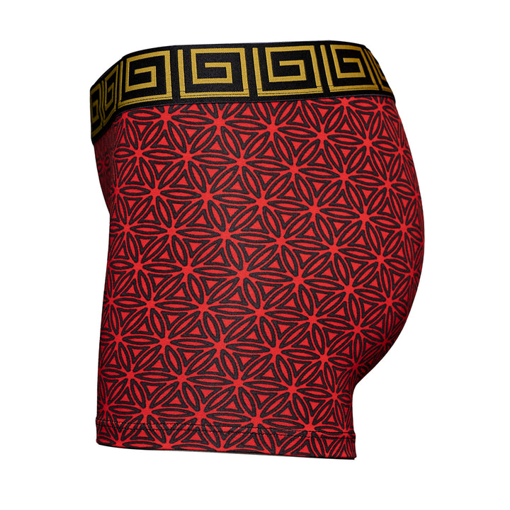 SHEATH Red Flower of Life print women&