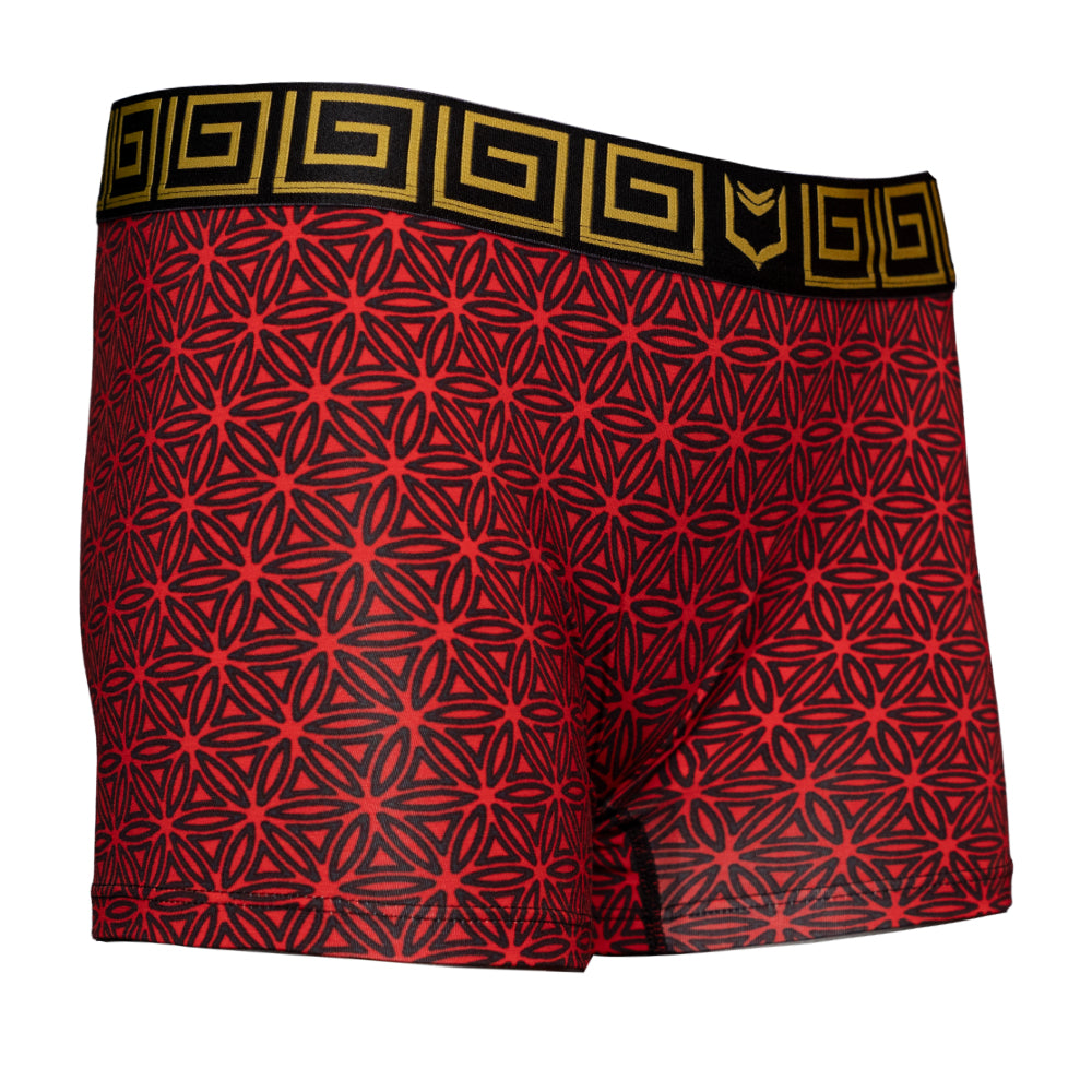 SHEATH Red Flower of Life print women&