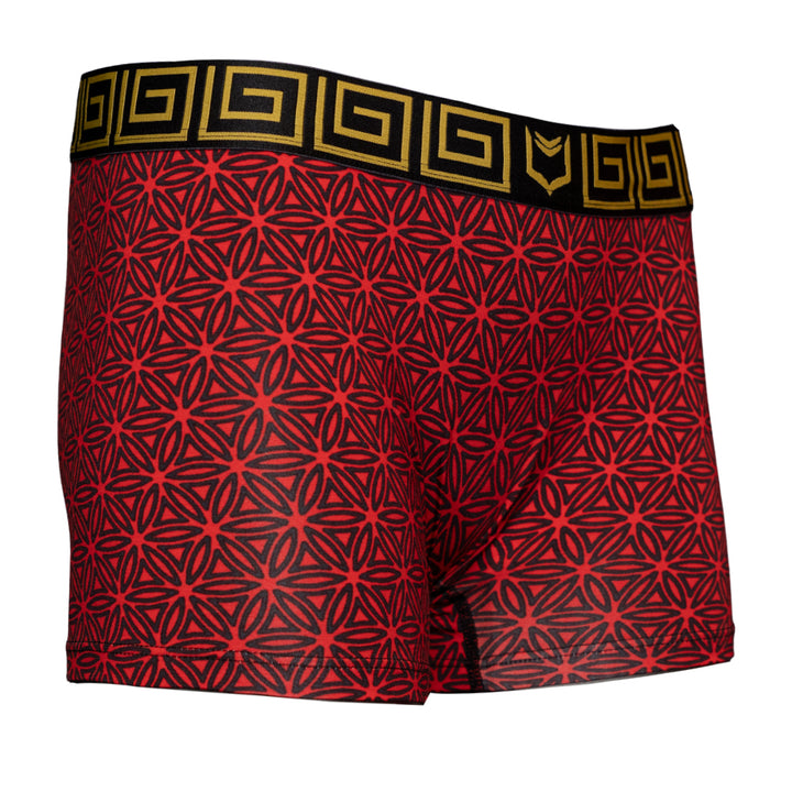 SHEATH Red Flower of Life print women&