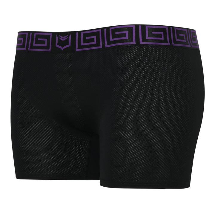 SHEATH Women's AirFlow Boxer Brief - Purple & Black